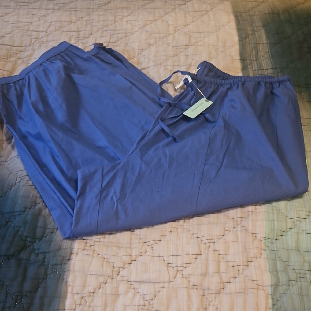 Anthropologie Blue Pants